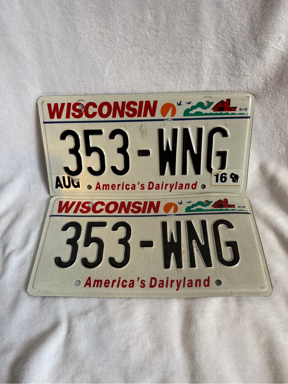 Wisconsin License Plate America's Dairyland Pair Expired 353-WNG